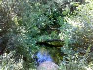 Лікареве з panoramio.com