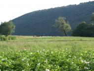 Горигляди з panoramio.com