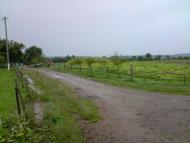 Нижня Вовча з panoramio.com