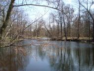 Сосонка з panoramio.com