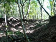 Польове з panoramio.com