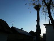 Віжомля з panoramio.com