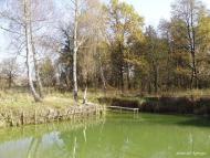 Ліски з panoramio.com