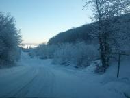 Квіткове з panoramio.com