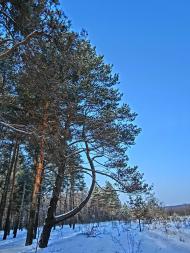 Олександро-Степанівка з panoramio.com