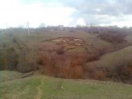 Шостакове з panoramio.com