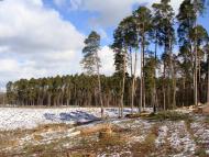 Клевань з panoramio.com