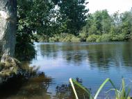 Сурмачівка - Останні фото