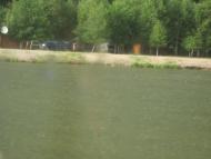 Блищиводи - Останні фото