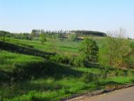 Чугинка з panoramio.com