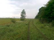 Підвисоке - Останні фото