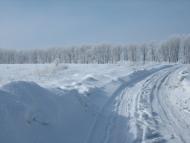 Глибоке з panoramio.com