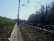 Лопатинці з panoramio.com