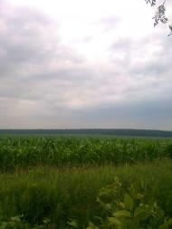 Червоне з panoramio.com