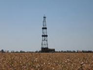 Новая Семеновка - Последние фото