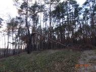 Корюківка з panoramio.com