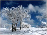 Піонерське з panoramio.com