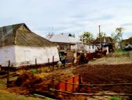 Довгалівське з panoramio.com