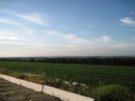 Бородаївські Хутори з panoramio.com