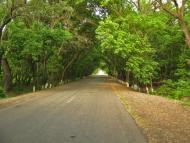 Вільне з panoramio.com