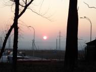 Зарванці з panoramio.com - Зарванцы