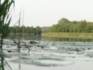 Гірки з panoramio.com