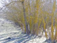 Корсунка з panoramio.com