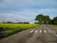 Скрипчин з panoramio.com