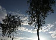 Михальча з panoramio.com