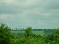 Березівка з panoramio.com