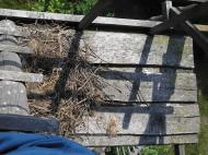 Корчак з panoramio.com