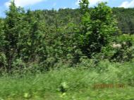 Нараїв з panoramio.com