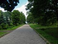 Гуща з panoramio.com