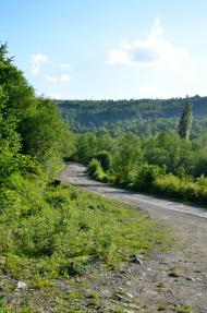 Тополин з panoramio.com