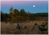 Хмелівка з panoramio.com