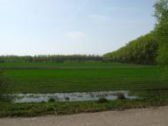 Льгівка з panoramio.com