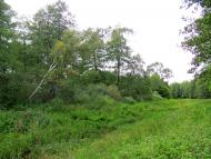 Ромейки з panoramio.com