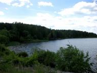 Нова Борова з panoramio.com