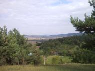 Гринів з panoramio.com