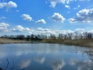 Широчани з panoramio.com