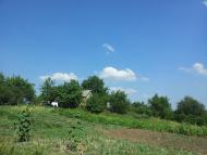 Бугас з panoramio.com