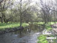 Черемшине з panoramio.com