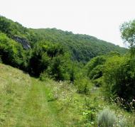 Залуччя з panoramio.com