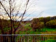 Піщана з panoramio.com