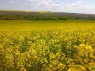 Мар'янівка з panoramio.com