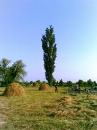 Геча з panoramio.com