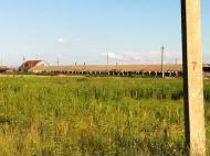 Клавдієво-Тарасове з panoramio.com