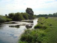 Митківці з panoramio.com