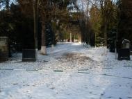 Привільне з panoramio.com