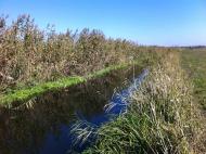 Khrystoforivka - Latest photos